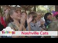 Kidsongs Nashville Cats
