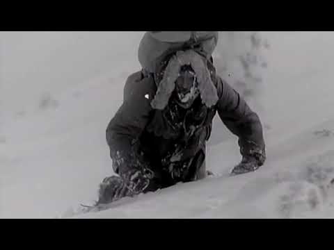 Waldemar Matuška – Vítr mi o tom hrál