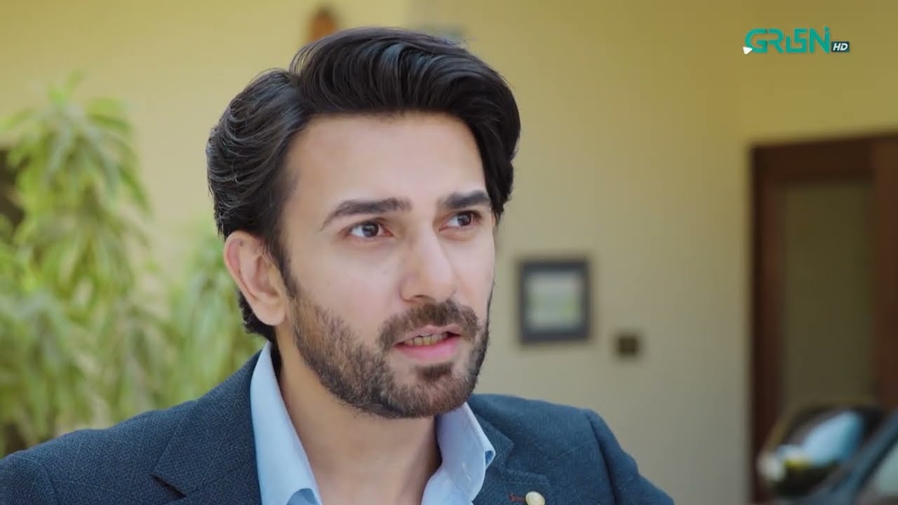 Ainy Ka Zaviyar Ki Help Lene Se Inkaar | Faaslay | Ali Ansari - Saboor Aly | Green TV