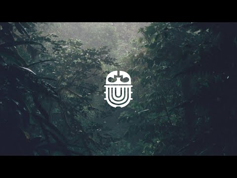 Mr. Käfer - Underneath (full EP) 📸 (photo dump visualizer)