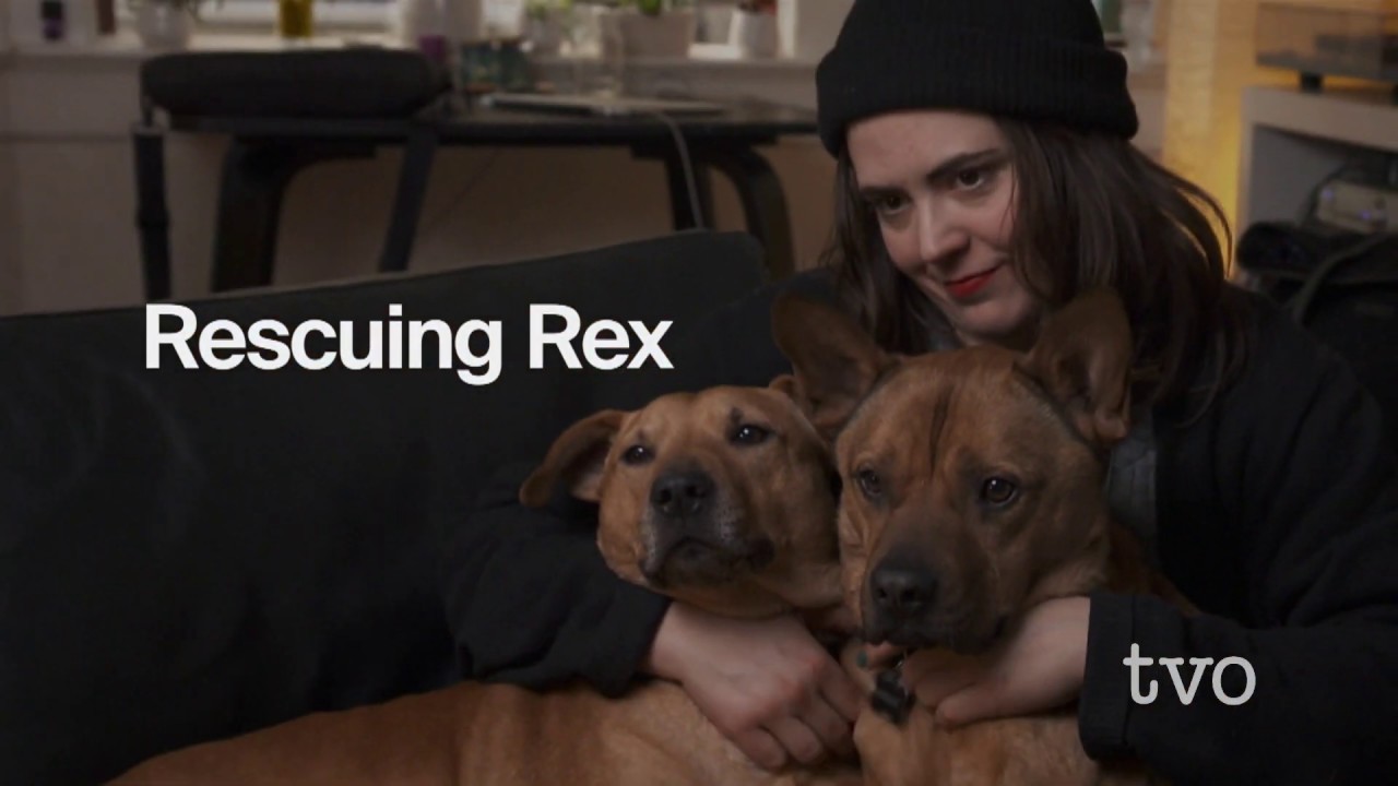 Rescuing Rex | Now on TVO Docs