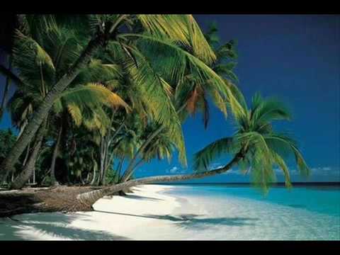 R Kelly Daddy Yankee Wisin y Yandel Deevani Burn It Up