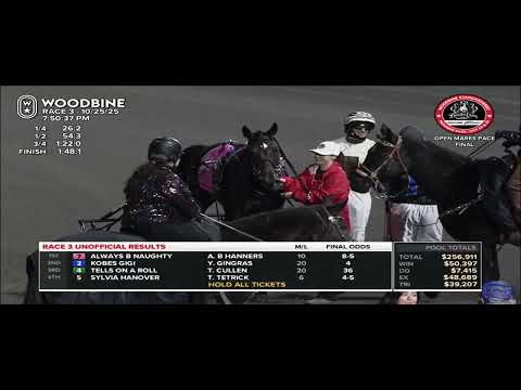 Always B Naughty Race 3 Woodbine Mohawk Park