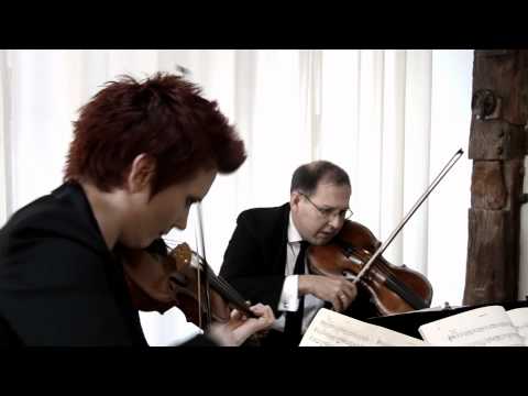 Play Video Youtube Video