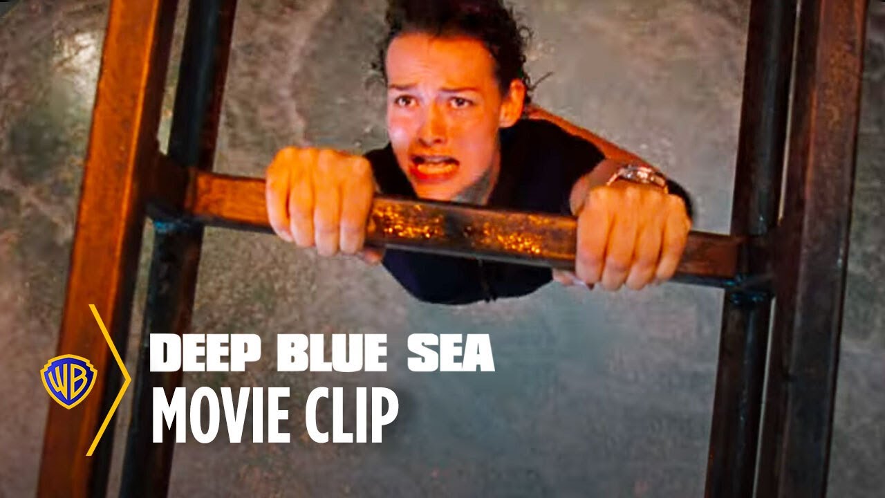 Video náhled