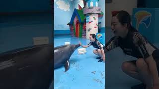 Miniature vidéo
