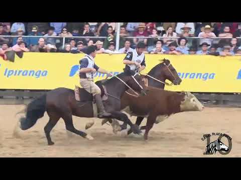 PN Cambiasso  - Campeão Freio de Ouro 2017 - Paleteada Final (Domingo)