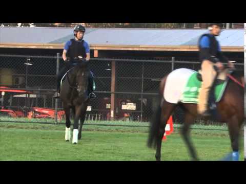 Introducing The Championships Contender - To The World