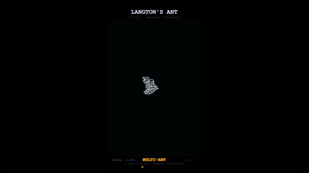 Langton's Ant - Order From Chaos After 10,000 Steps
