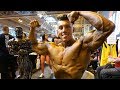 Future Plans For Competing | IFBB Junior Bodybuilding...?