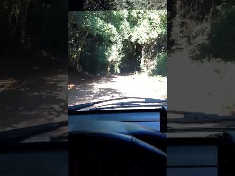 #misiones #sanignacio