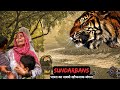 Sundarban India S Most Dangerous Forest EP 01 Are All The Tigers Here Man Eaters Tiger Attack