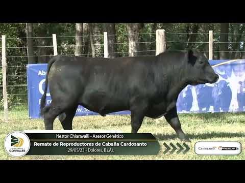 29-05-23 - Nestor Chiaravalli - Asesor Genético - Remate de Reproductores de Cabaña Cardosanto
