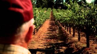preview picture of video 'Cellar Angels Presents: Schweiger Vineyards in Spring Mountain, Napa Valley'