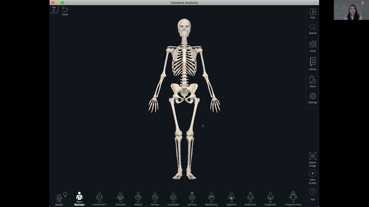 Elsevier at APMEC 2022 - Using Complete Anatomy in Medical Education