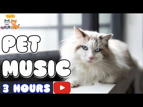 LONGEST EVER Music for Cats - 3 Hour Relaxation Lullaby! Anti Anxiety Music for Cats | Sleepy Cat