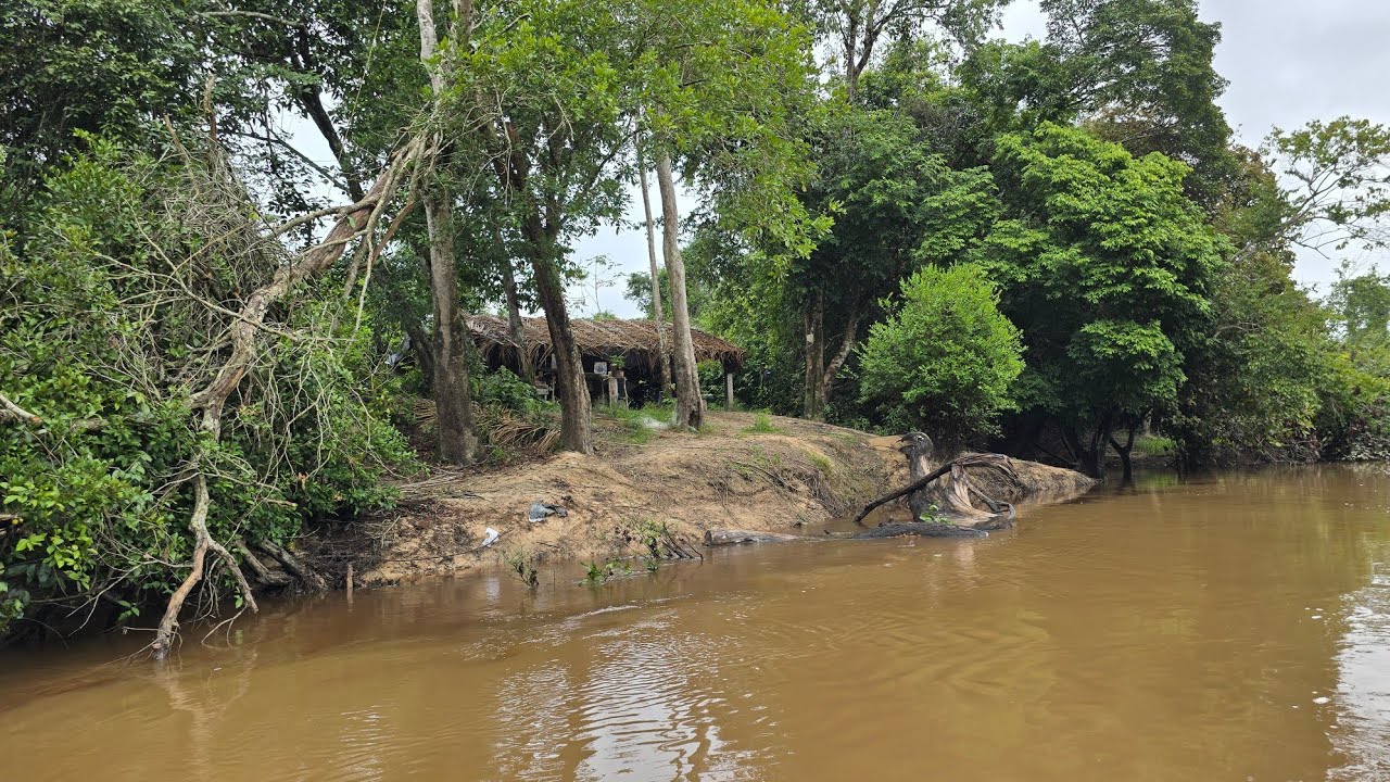 Acampamos no barranco de palha por um dia, com muita chuva, fiz ela frita no fogão a lenha.