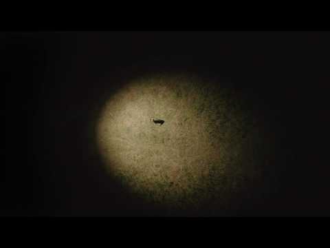 Fabiana Striffler Trio - Hemme Nicht Deiner Seele Flug