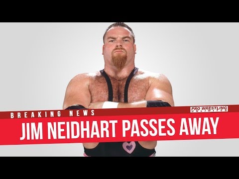 Wrestling World Reacts To The Passing Of Jim Neidhart