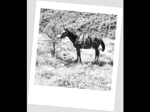 Ortiano Longobucco - FIERA di PUNTADURA - Foto Modello(video6 di 6)2016