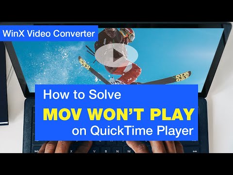 Top 8 MOV Players for Windows 10, Mac, Android, iPhone