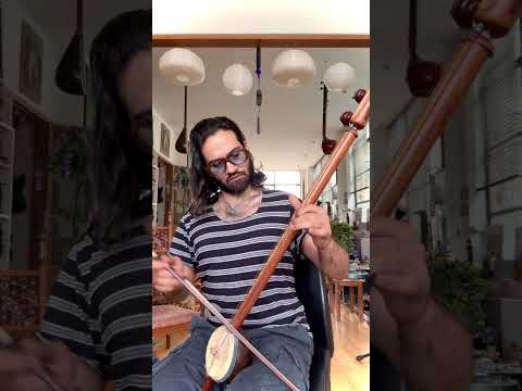 Zayn Mohammed - Conversations on Love