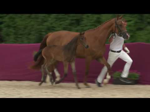 KN 47 Follow us Hf v. Fürstenball - Donnerschwee