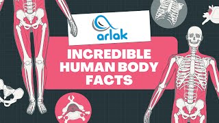 Incredible Human Body Facts (Part 1)