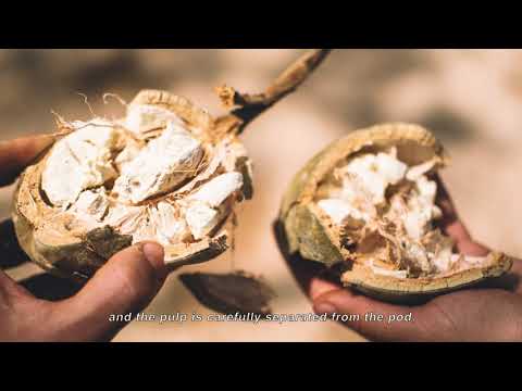 Baobab, Organic Superfruit Powder