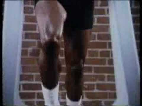 Fortune dane película completa español