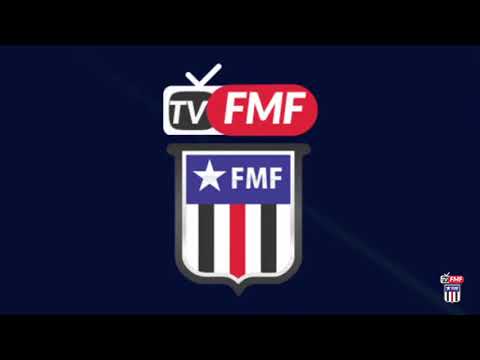 HIGHLIGHTS: PINHEIRO X IAPE/DFG