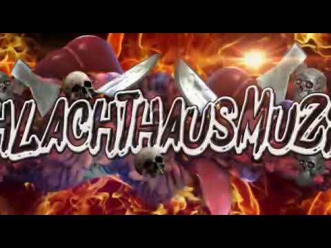 ShM  Hypnotikk und Patient N