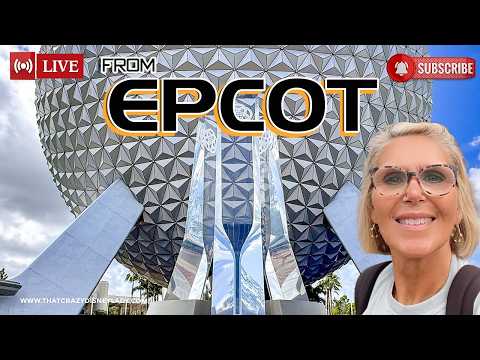 Live webcam of That Crazy Disney Lady