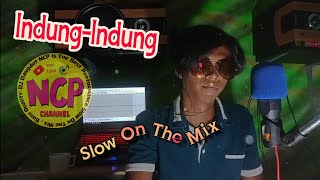 Download lagu DJ Indung-Indung (Cover Renno Slow Mix) mp3