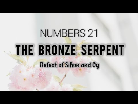 NUMBERS 21 NKJV: THE BRONZE SERPENT (Audio Bible)