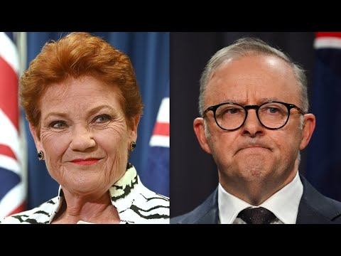 Labor scores own goal after a campaign against One Nation spectacularly backfires