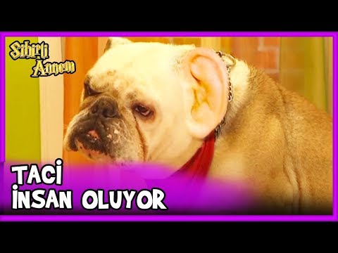 Taci Yavaş Yavaş İnsana Dönüyor - Sihirli Annem 42. Bölüm