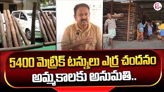 అమ్మకానికి ఎర్ర చందనం | Seshachalam Red Sandalwood Selling | AP Govt | @SumanTVChannel