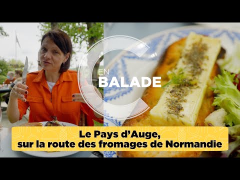 Le Pays d’Auge, sur la route des fromages de Normandie