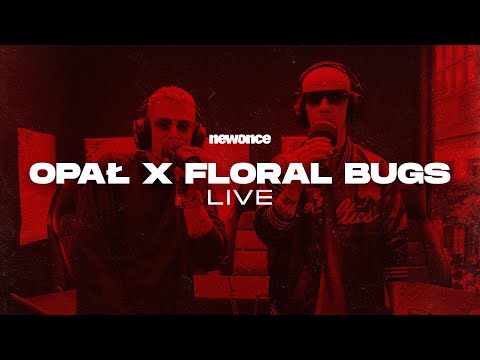 H4J4 (Opał/Floral Bugs) - JAŚMIN | LIVE @newonce