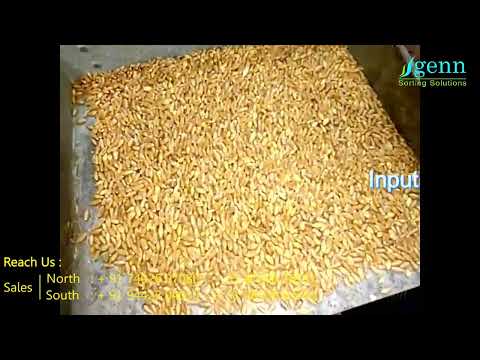 Buckwheat Color Sorter Machine - Genn X Series