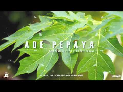 ADE PEPAYA - PACE SANTANA X LEGI 483 X PACE GUNUNG