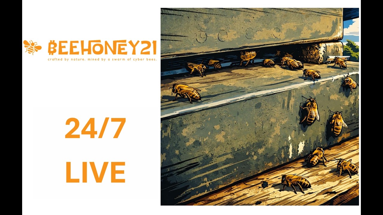 24/7 BEEHIVE LIVE 🐝 | Natural Proof of Work by BeeHoney21