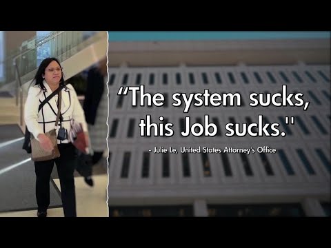 ICE attorney says the system, her job 'sucks' while in court