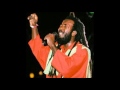 The Wailers - Forever loving Jah with BUNNY RUGS,CAT COORE,FREDDIE MC GREGOR Reseda, CA,  10-27-81