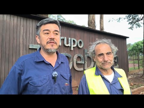 VIRASORO - Trabajadores de FORESTADORA TAPEBICUÁ en proceso de reactivación 