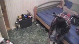 Animal Collective Turn Into Something