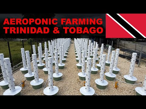 Video: Building a Vertical Farm with 140 Aeroponic Towers in Trinidad &amp; Tobago