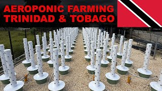 Thumbnail for video: Building a Vertical Farm with 140 Aeroponic Towers in Trinidad &amp; Tobago