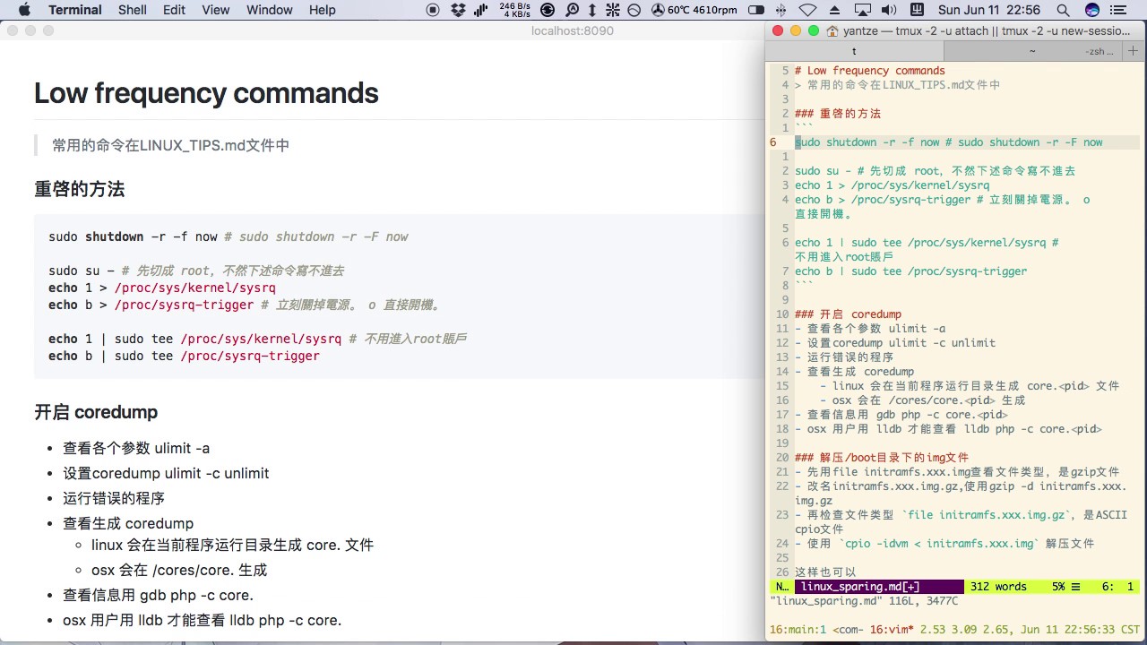 Instant markdown with vim